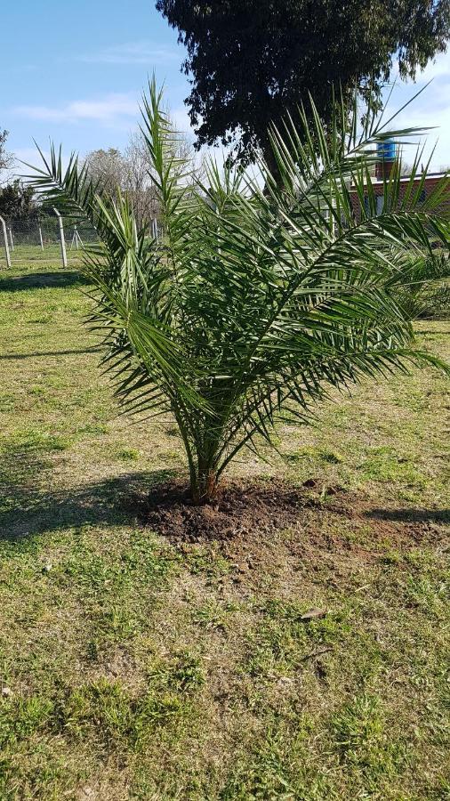 Terrabox Apart De Contenedores Olivera Dış mekan fotoğraf