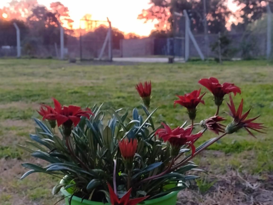 Terrabox Apart De Contenedores Olivera Dış mekan fotoğraf